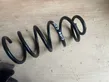 Rear coil spring