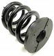 Rear coil spring