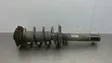 Front shock absorber with coil spring