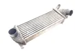 Radiatore intercooler