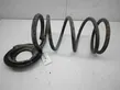 Front coil spring