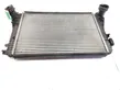 Intercooler radiator