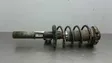 Front shock absorber with coil spring