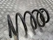 Rear coil spring