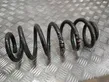 Front coil spring