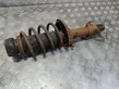 Front shock absorber with coil spring