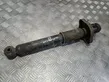 Rear shock absorber/damper