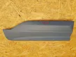 Rear door trim (molding)