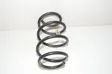 Front coil spring