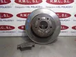 Rear brake disc