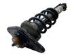 Rear shock absorber with coil spring