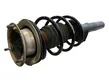 Front shock absorber with coil spring