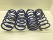 Front coil spring