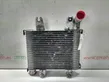 Intercooler radiator