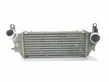 Radiador intercooler