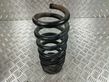 Rear coil spring