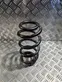 Front coil spring