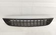 Front bumper lower grill