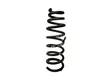 Rear coil spring