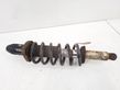 Rear shock absorber with coil spring