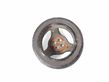 Crankshaft pulley