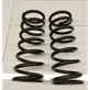 Rear coil spring