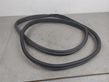 Rear door rubber seal (on body)