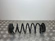 Rear coil spring