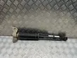 Rear shock absorber/damper