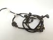 Other wiring loom   GBB167SH1A,8012800300FG,GS2A67150