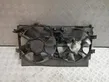 Electric radiator cooling fan