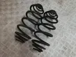 Rear coil spring