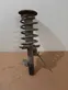 Front shock absorber with coil spring