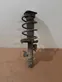 Front shock absorber with coil spring