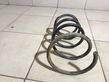 Front coil spring