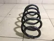 Front coil spring