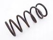 Front coil spring