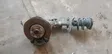 Front shock absorber with coil spring