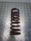 Front coil spring