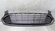 Front bumper upper radiator grill