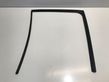 Rubber seal rear door window/glass