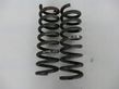 Rear coil spring