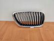 Front bumper upper radiator grill