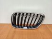 Front bumper upper radiator grill