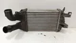 Intercooler radiator