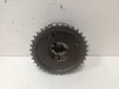 Camshaft pulley/ VANOS