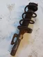 Front shock absorber with coil spring