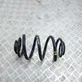 Rear coil spring