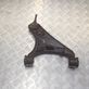 Front lower control arm/wishbone