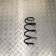 Rear coil spring